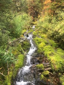 Waterfall along trail to Thompson-Seton, Sep 10, 2017 - photo by Dick Leigh
