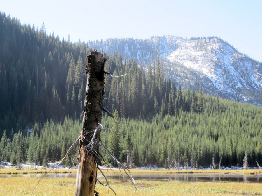 Trail 26 North Fork Trails Association