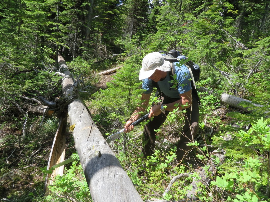 Trail Clearing with a 'Silky' Saw