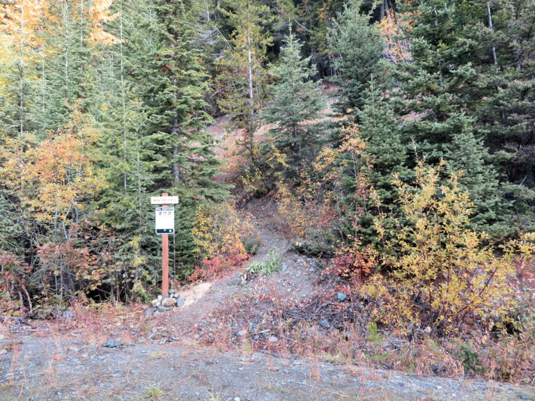 Last trails report for 2018 posted North Fork Trails Association