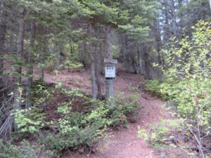Chain Lake Trail #377 Trailhead, June 25, 2022 - W. K. Walker