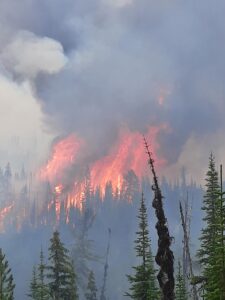 Weasel Fire - Extreme Fire Behavior, August 4, 2022 - USFS