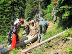 Forest Service crew clearing obstruction from Moran Creek Tr No. 2, July 15, 2023 - W. K. Walker