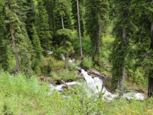 Falls below Lower Chain Lake, June 19, 2024 - W. K. Walker