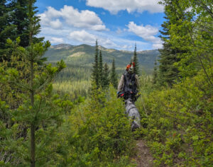 Clearing Tuchuck Creek Tr No 23, June 7, 2025 - photo by Steve Lundberg
