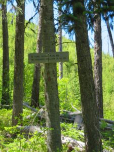 T255-T452 trail junction, May 31, 2025 - W. K. Walker
