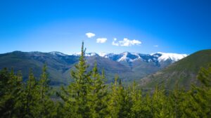View across Big Creek drainage from Glacier View Mtn Tr 381, Apr 30, 2026 - W. K. Walker