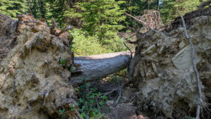 Downfall across Chain Lakes Trail No 377, July 11, 2026 - from above - W. K. Walker